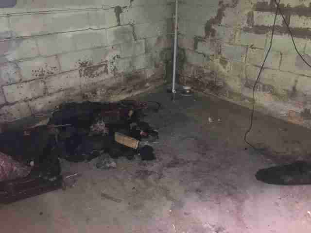 Testing again(46).jpg